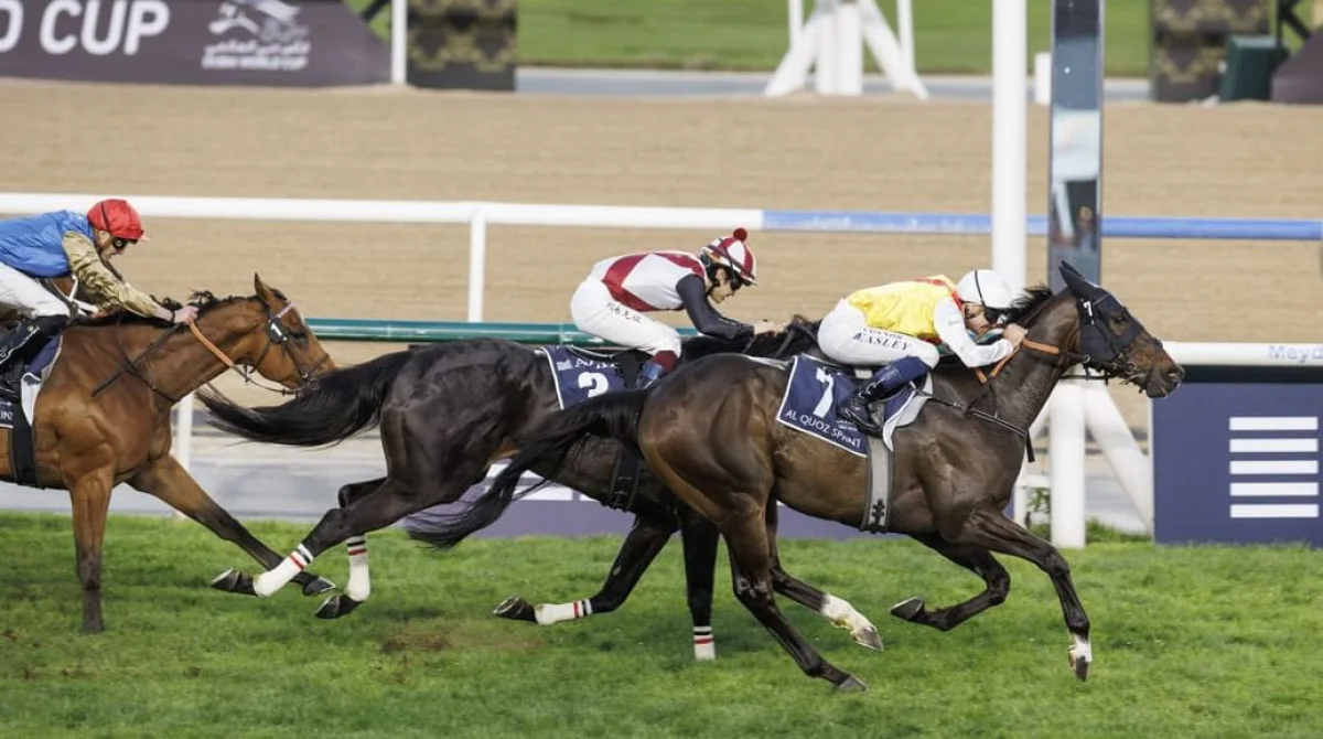 سباقات خيل عالمية في دبي ضمن فعاليات كأس دبي العالمي وسط أجواء احترافية وحضور دولي مميز يعكس مكانة الحدث عالميًا