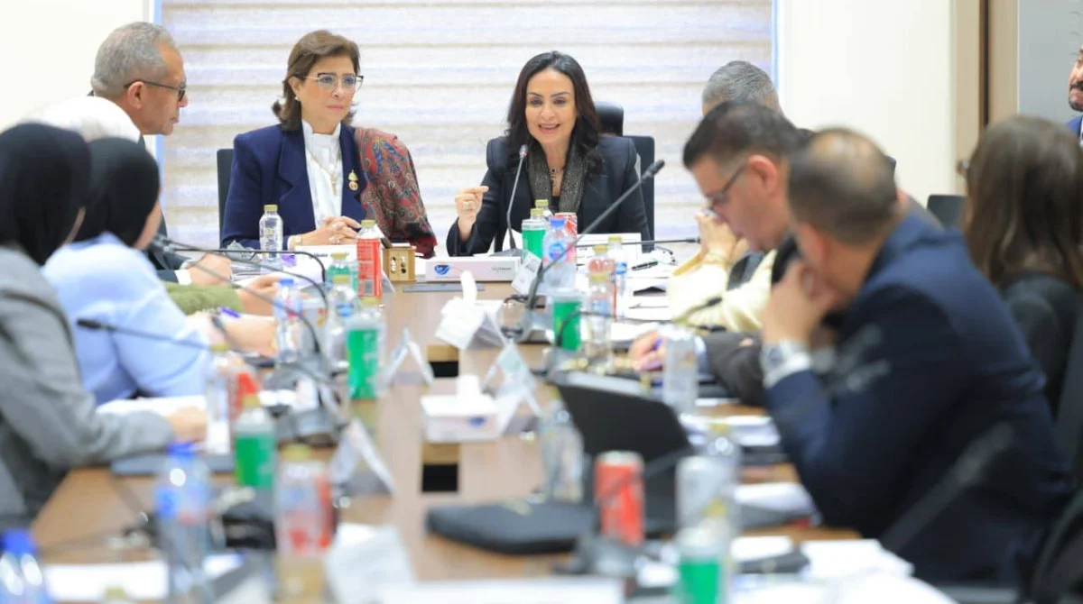 تطوير خدمات ذوي الإعاقة في مصر وتعديلات قانونية جديدة