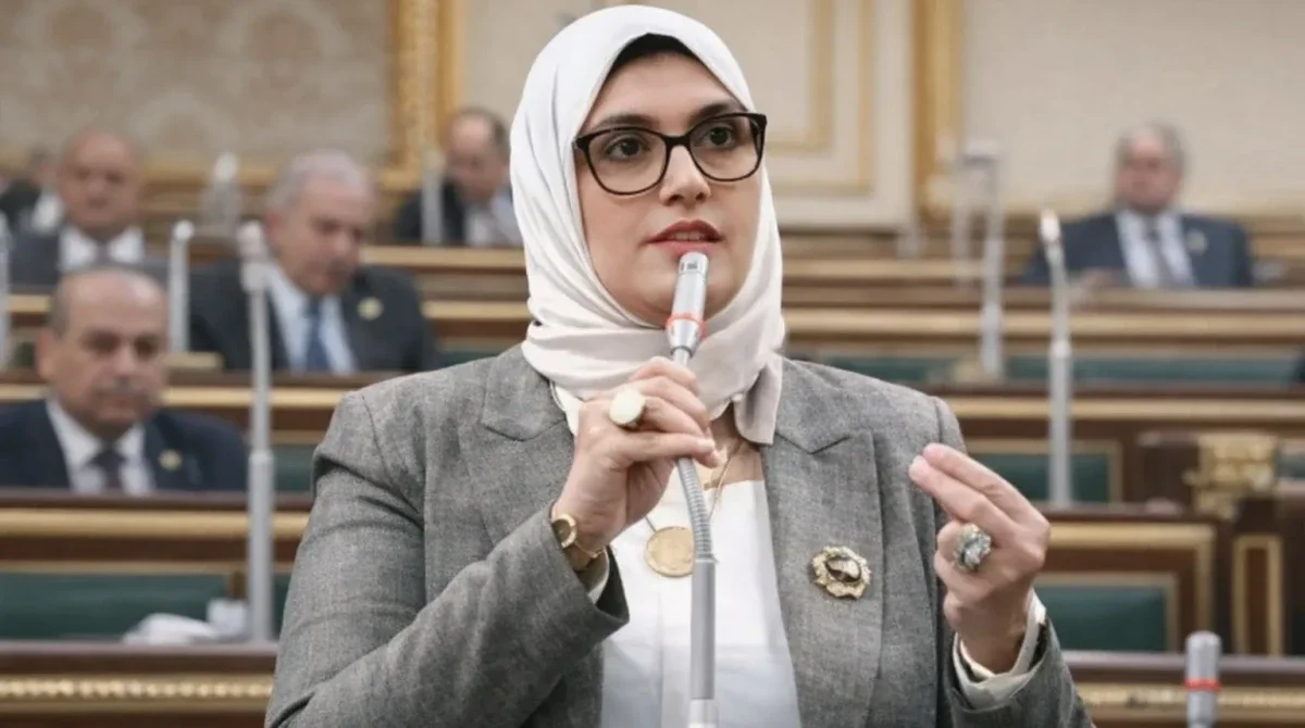 قاعة مجلس النواب في مصر خلال مناقشة تشريعات جديدة