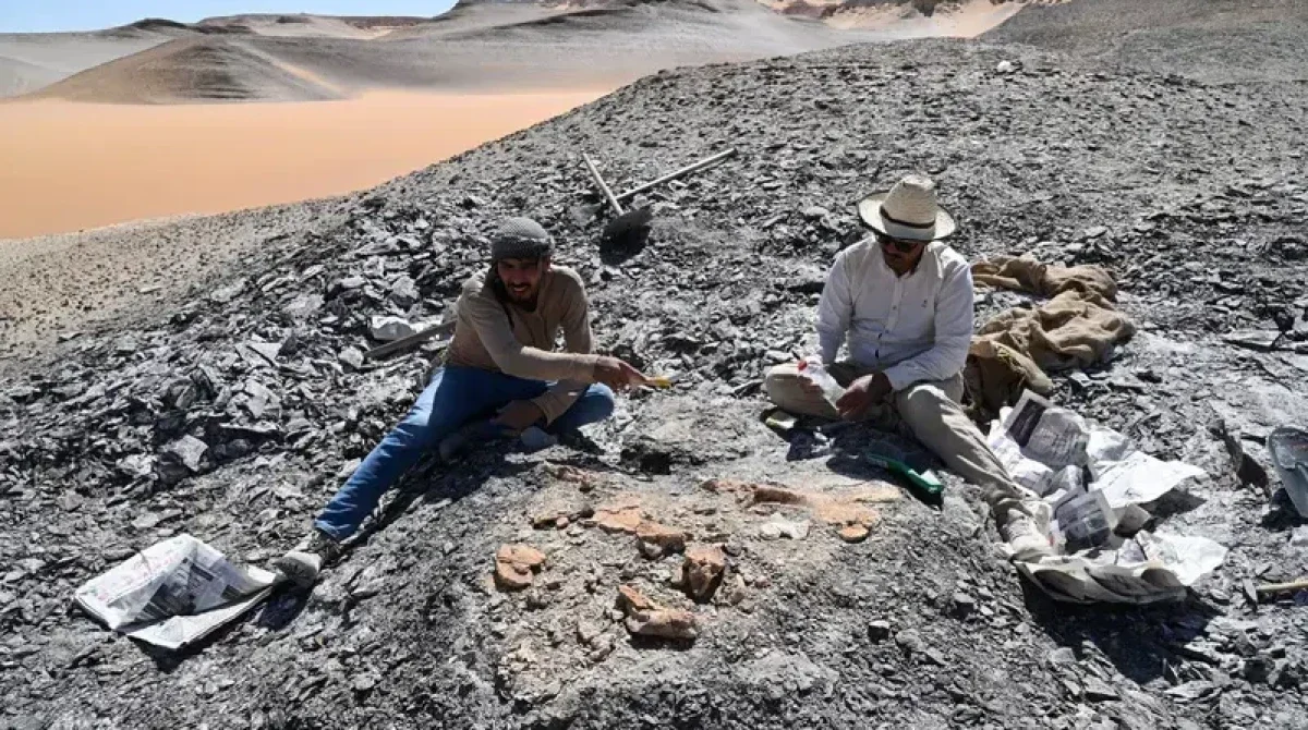 تصور تخيلي لسلحفاة بحرية عملاقة تعيش في البحار القديمة خلال عصر الديناصورات